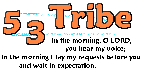 5:3 Tribe
